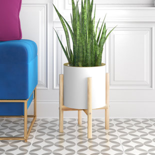 Wayfair | Indoor Planters